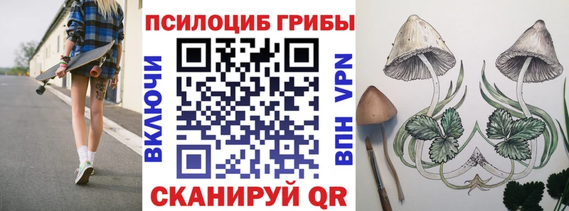 Галлюциногенные грибы ЛСД  что такое наркотик  MEGA зеркало  Ессентукская 